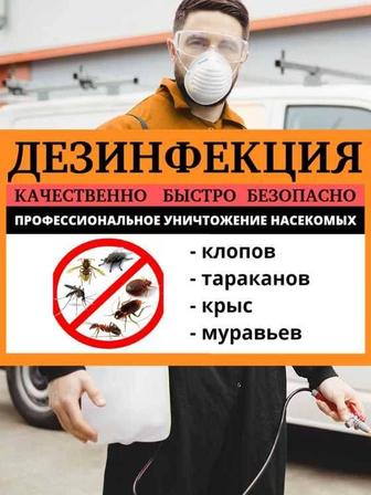 Уничтожение тараканов, клопов и крыс. Дезинфекция. Качественно