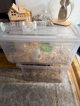 Продается клетка для хомяков