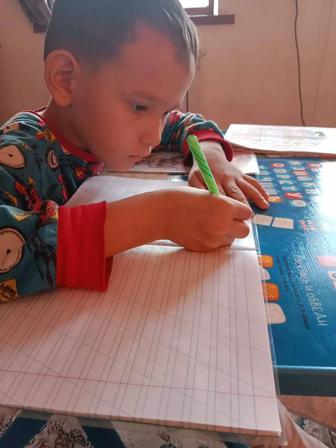 Услуги няни ,репетиторство