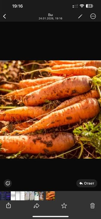 Морковь с фермы с бесплатной доставкой по Астане