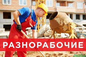 Разнорабочий,грузчик,сборка разборка мебели