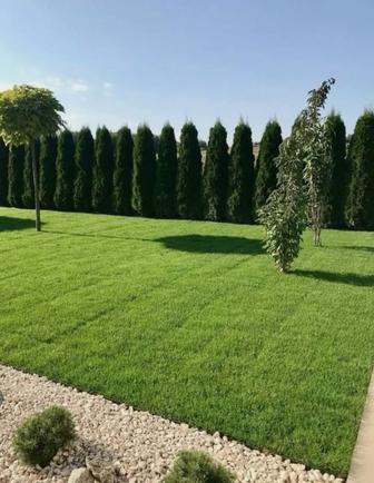 Газон под ключ вспашка земли мотоблоком