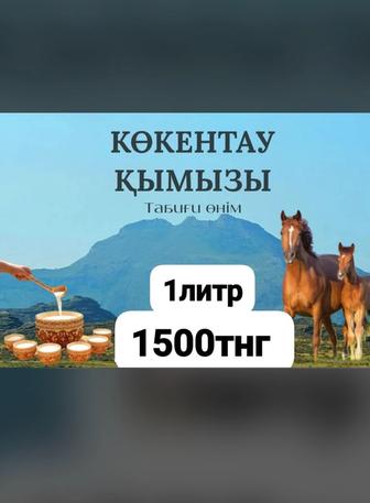 Қымыз көкентау ауылы
