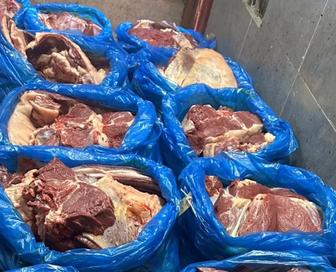 Мяса конина