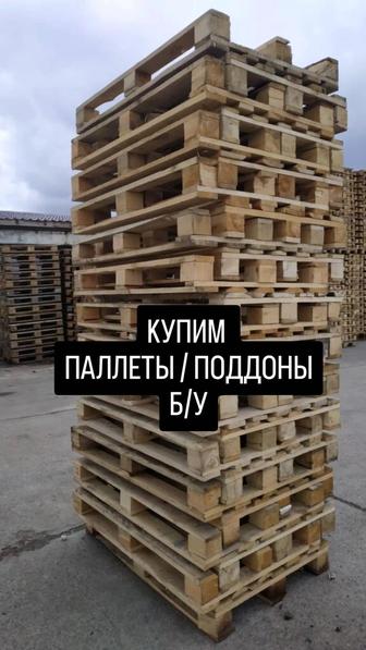 Принимаем поддоны / паллеты