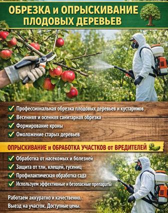 Обрезка и обработка деревьев.