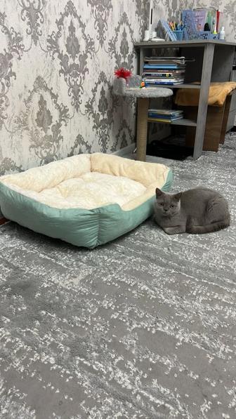 Лежанка для кошки