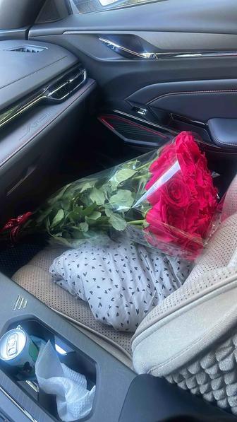 Розы голландские