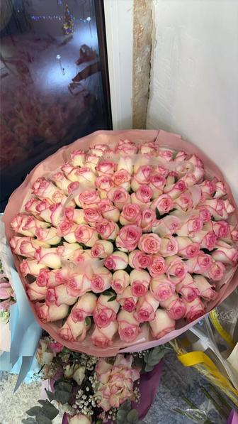 Розы, живые цветы