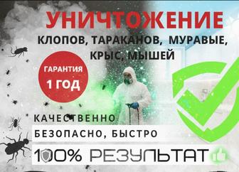 Дезинфекция от тараканов и клопов с гарантией 1 год
