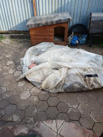 Продам новую собачью будку утепленная 1.3 длина 1.0 ширина брали для овчарк