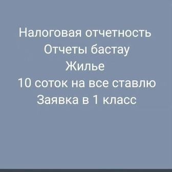 Компьютерные услуги на расстоянии по всему Казахстану