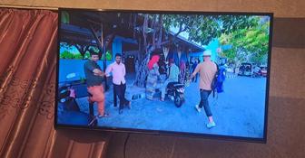 Птелевизор artel 43/109