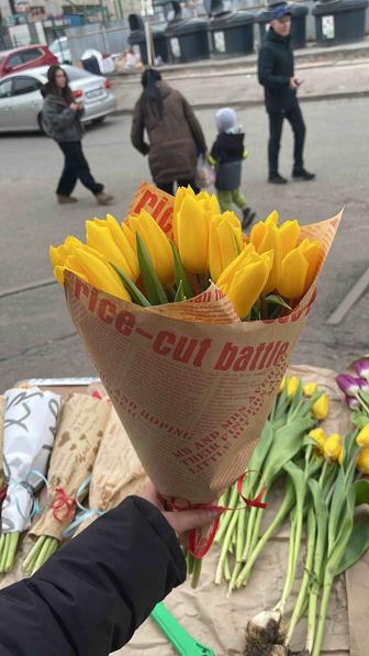 Тюльпаны оптом