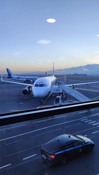 Трезвый водитель