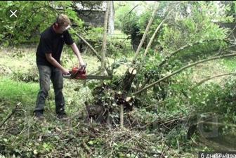 Спил и кронирование деревьев.Корчевание пней и кустарников.