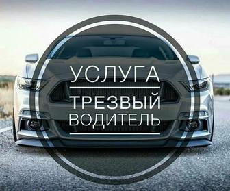 трезвый водитель