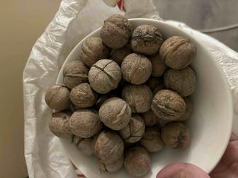 Орехи грецкие