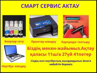 Картридж толтыру, Принтер жөндеу