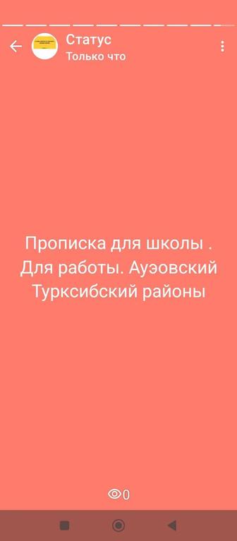 Прописка для школы, 117,141