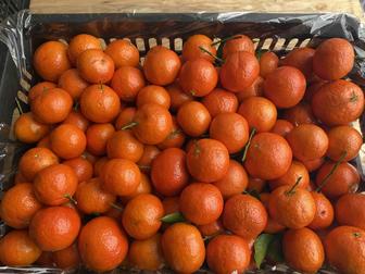 Мандарины свежие