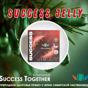 Клеточное питание Восьмого Поколения Success Jelly