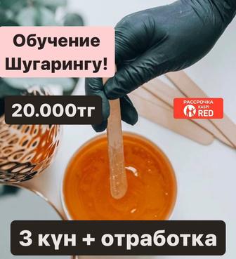 Обучение!!!