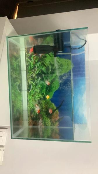 Продается аквариум 50 л