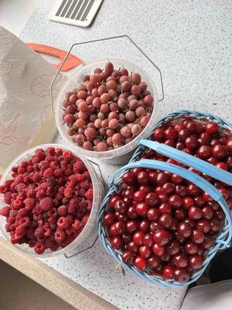 Продам ягоды