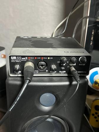 Steinberg UR22 mkII идеал