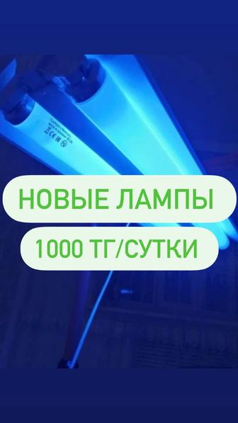Фотолампа от желтушки