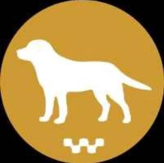 Зоотакси. Зоо Такси. Zootaxi. Zoo Taxi. Перевозка, доставка собак, кошек