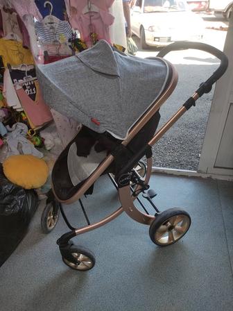 Коляска 2 в 1м Ameli