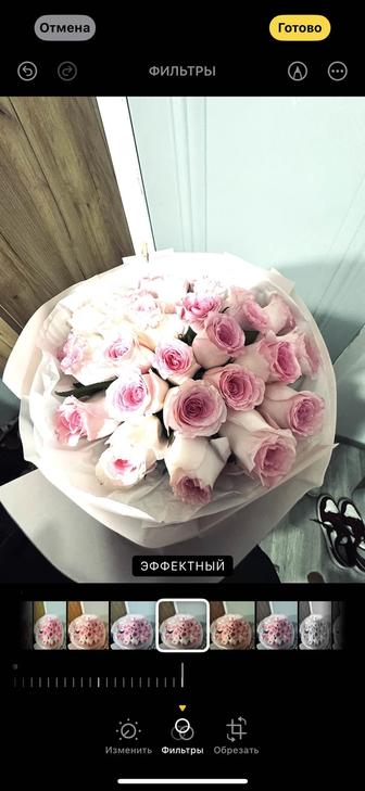 цветы свежие