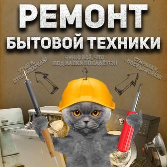 Ремонт бытовой техники сертифицированный мастер