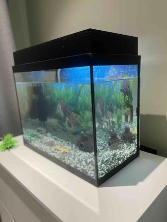 Продам очень красивый Аквариум
