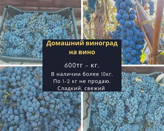 Продам домашний виноград