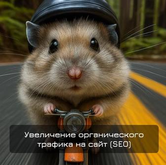Увеличение органического трафика на сайт (SEO)