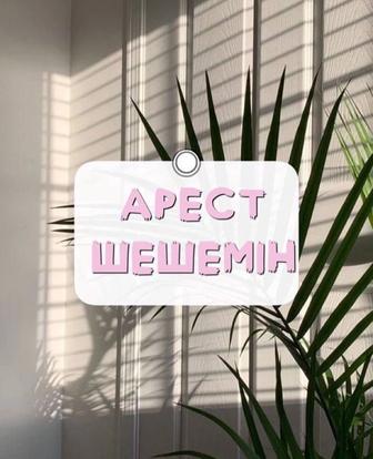 Арест шешу