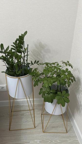 Подставки для цветов