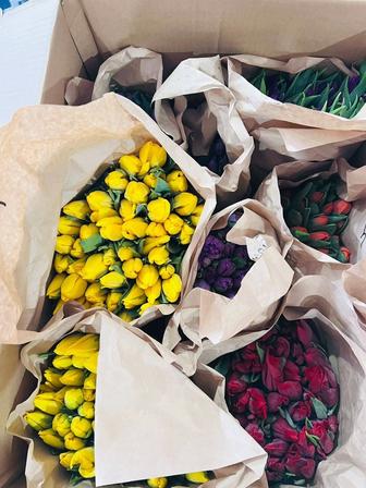 Тюльпаны оптом!