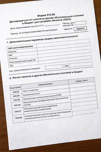 Форма 910, налоги, сальдо, исправление ошибок ИП