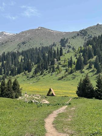 Флорист