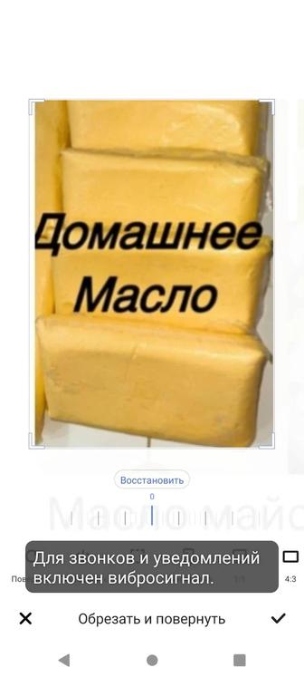 Продам масло