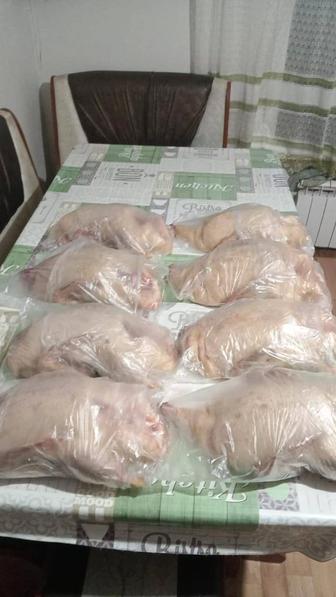 Продам домашнее мясо утки