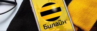 Продам гиги Билайн