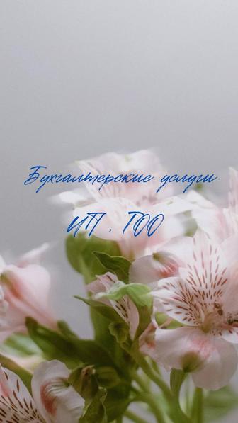 Бухгалтерские услуги ИП, ТОО