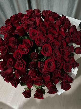 Голландские розы 101