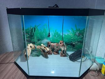 Продается аквариум