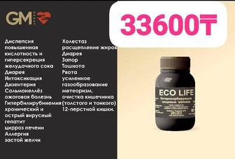 Gm Eco Life